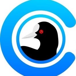 CootScootz logo